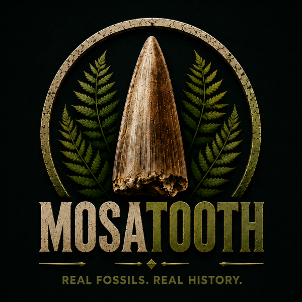 MosaTooth